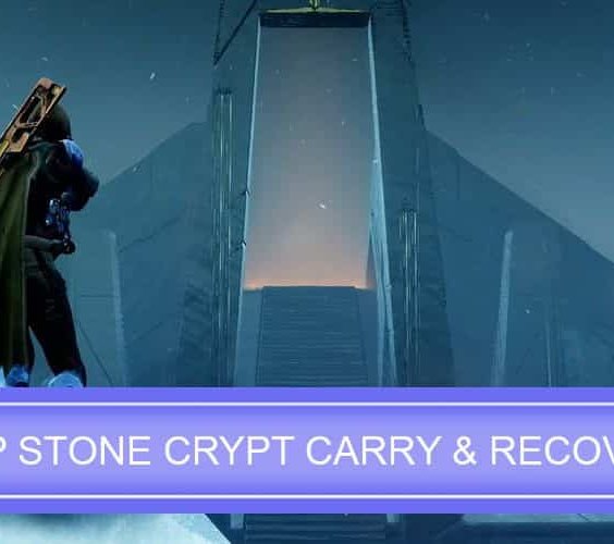 Recovery Service PC/Xbox/PS4 Raid Triumphs Deep Stone Crypt 